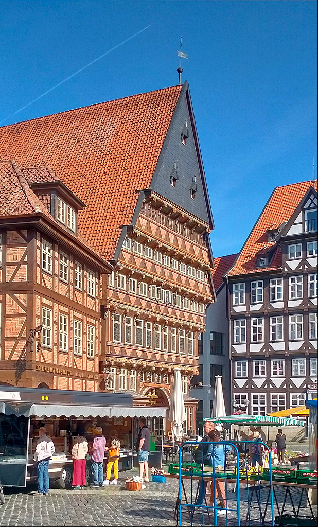 IMG20250719093953_2-s